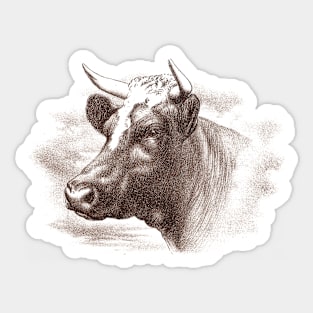 Cow Head Vintage Illustration Sticker